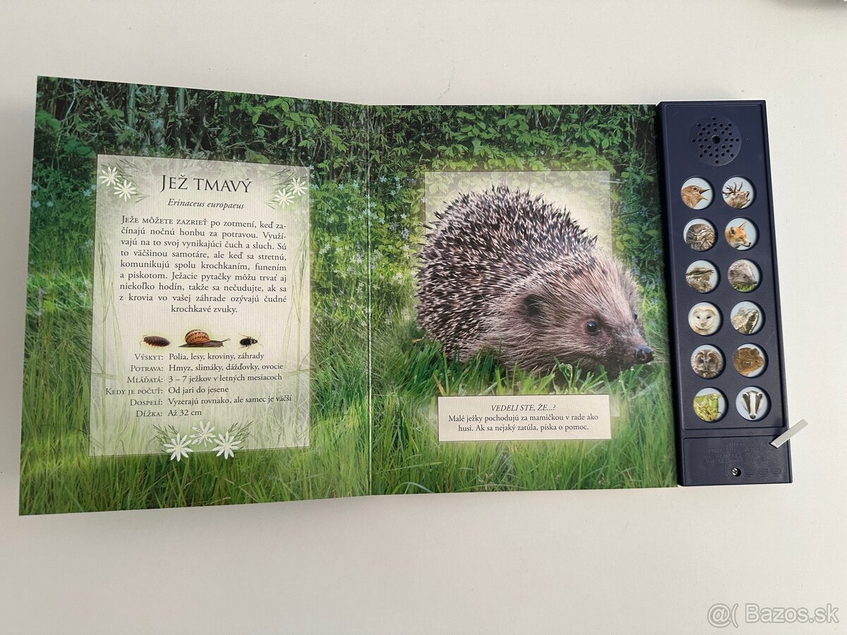 Zvukové knihy Vtáky voľnej prírody - 4