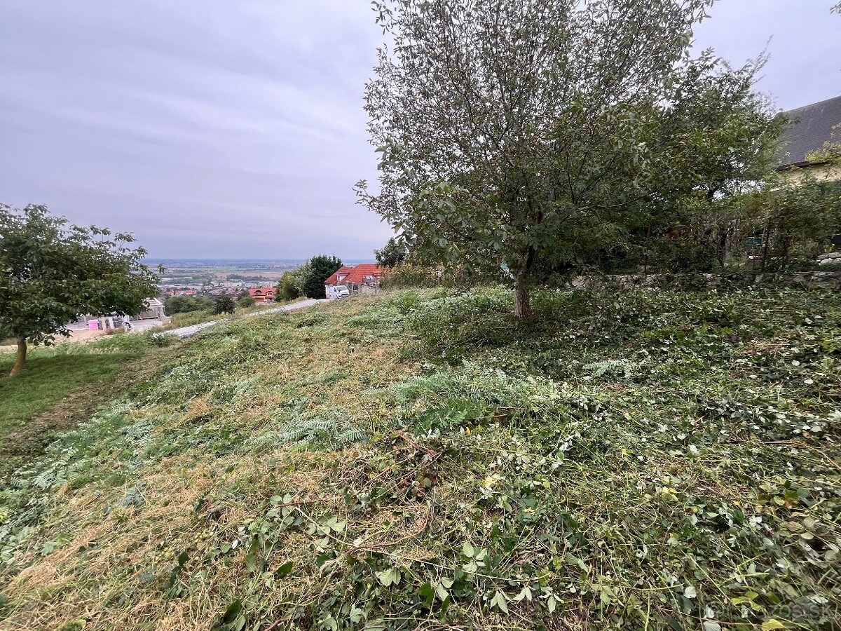 Čistenie pozemkov - 4