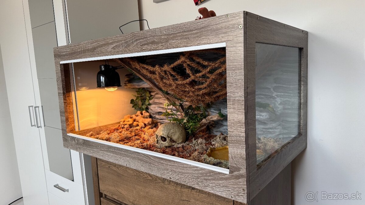 Pyton + terárium - 4