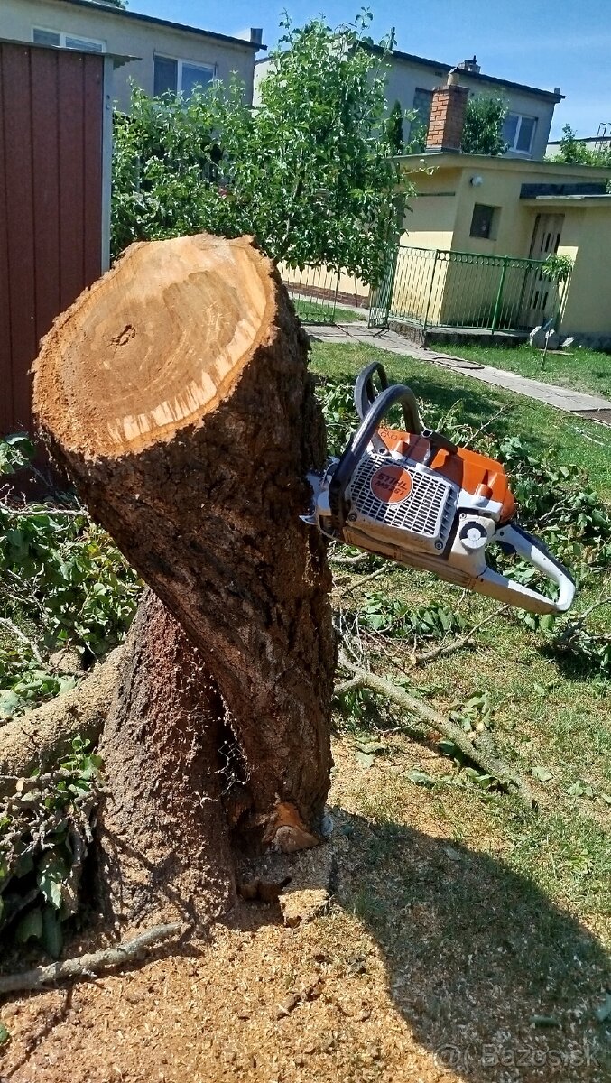 Stihl 261 profi - 4