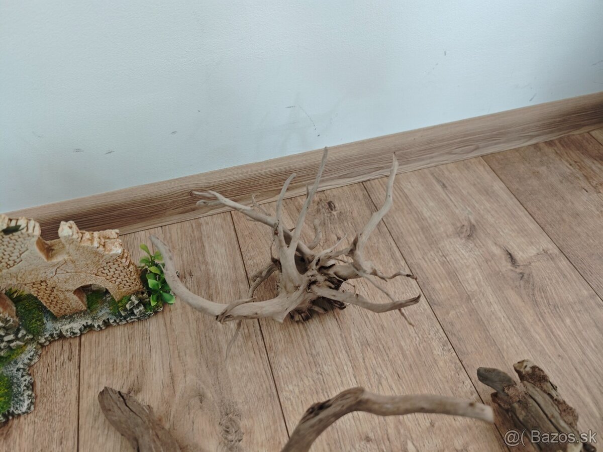 Sterilizované kvalitné akvarijné dreviny - 4