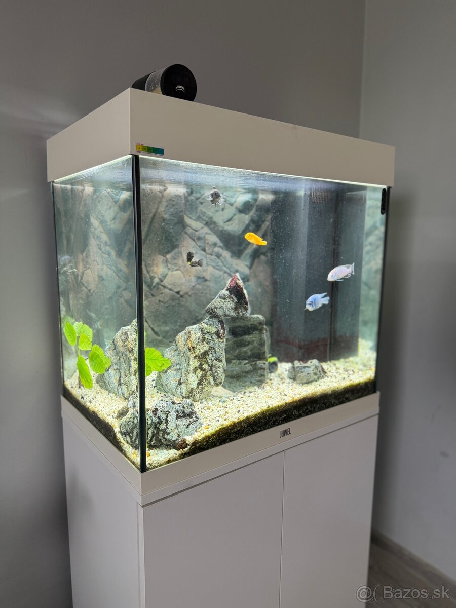 Juwel Lido 120l - 4