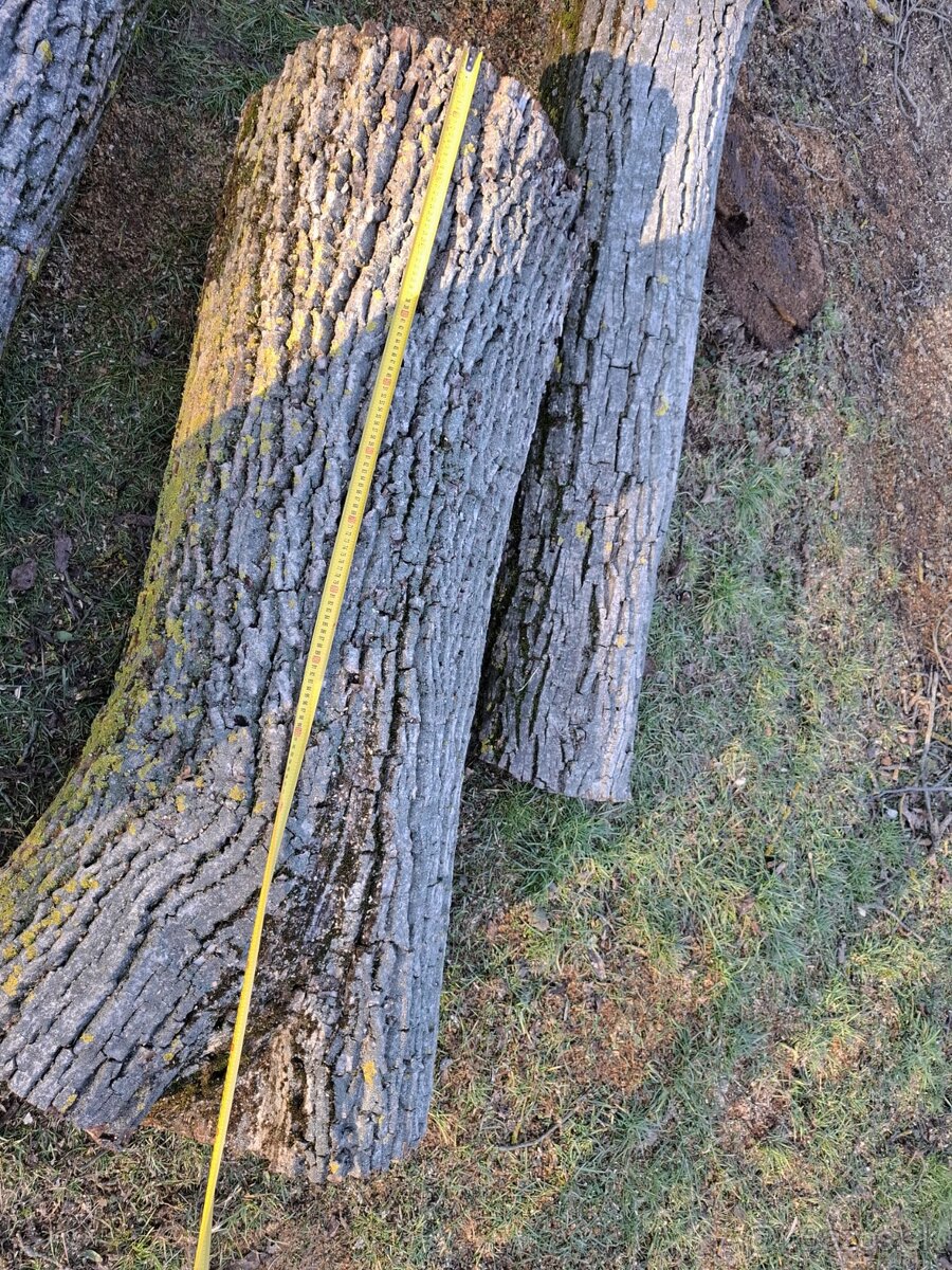 Predám orechové drevo - 4