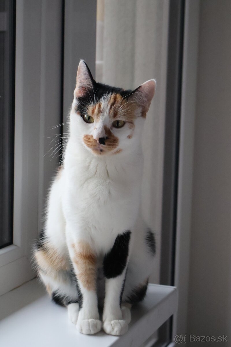 Len do dobrých rúk - 4