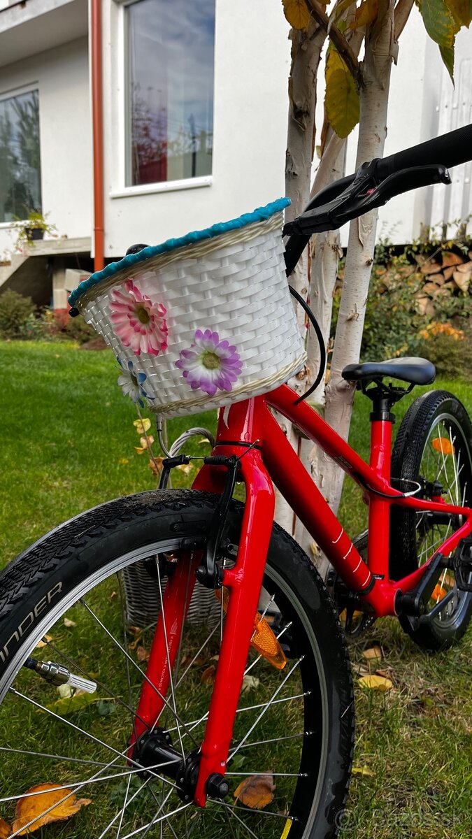 Specialized Jett 20 - 4