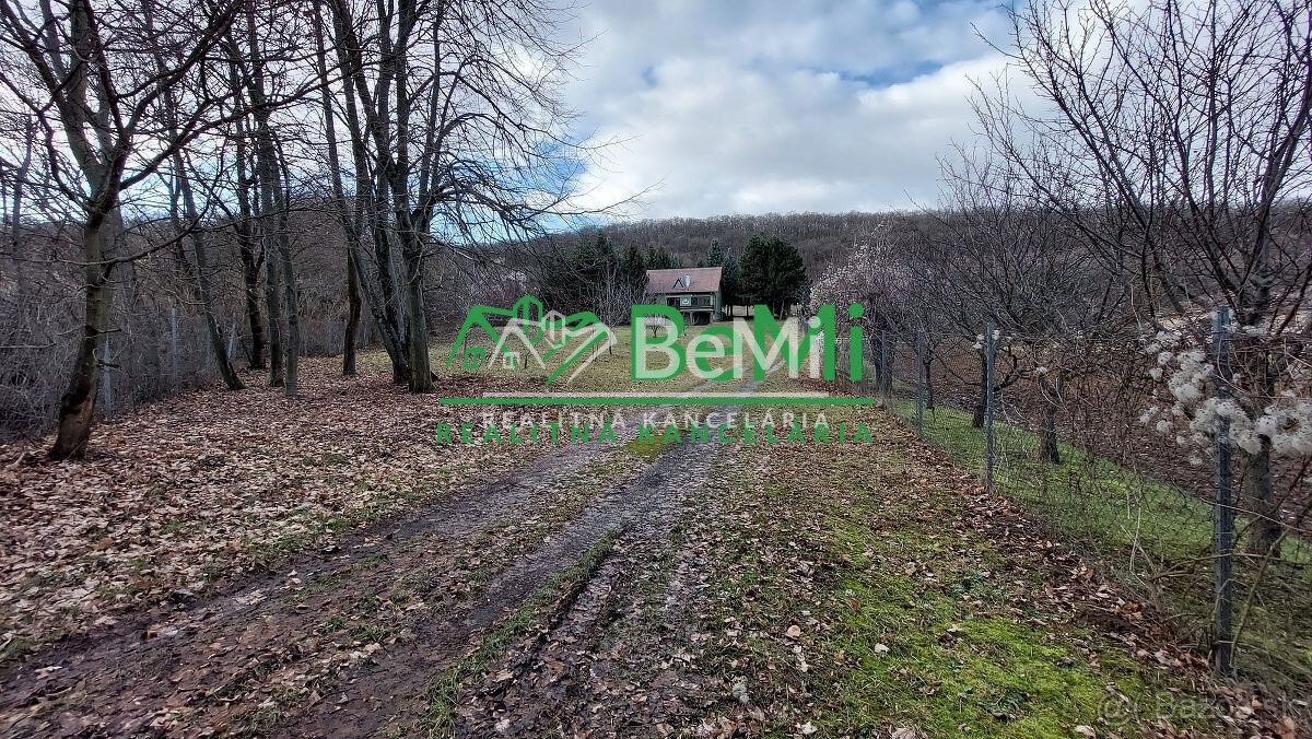 Predaj - Strelnica s poľovníckou chatou v okrese Hlohovec - 4