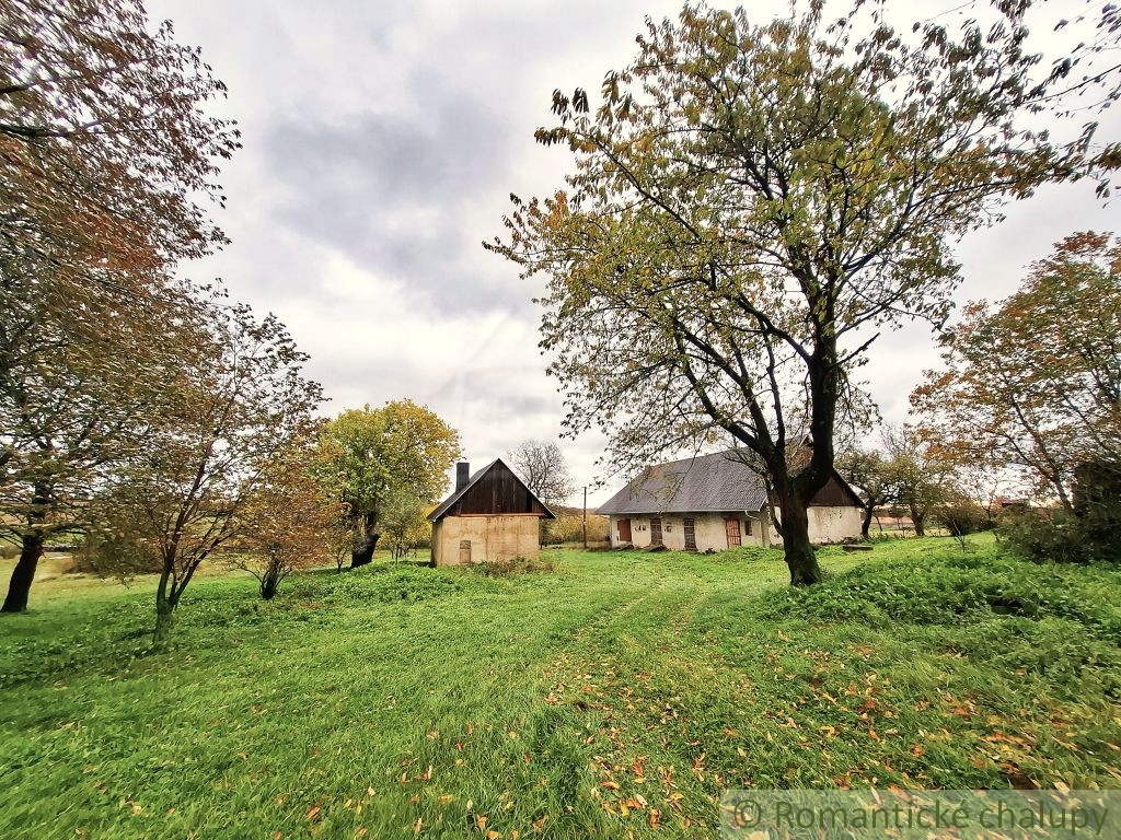 Priestranný pozemok s domami – ideálne miesto pre ranč, fa - 4