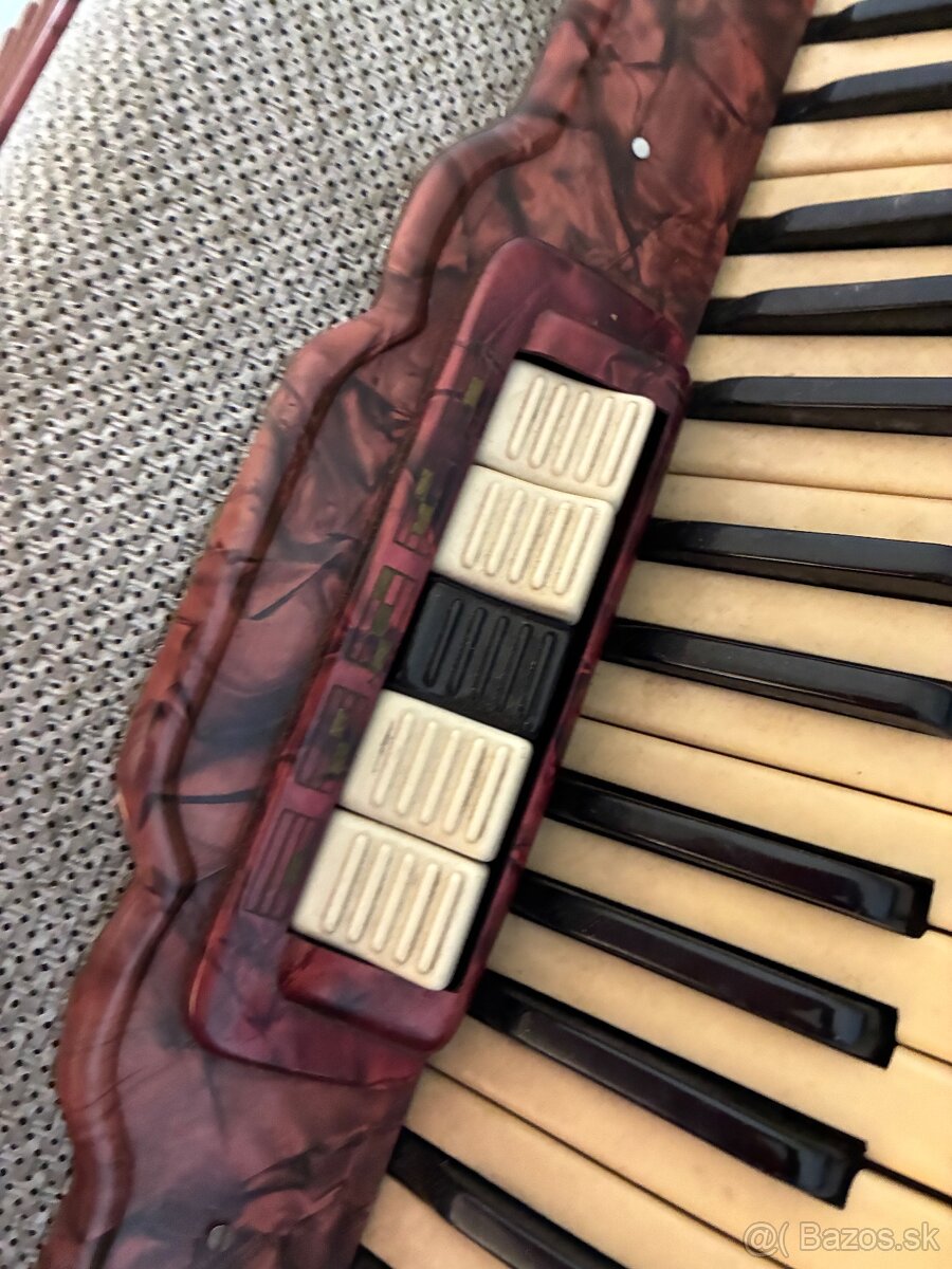 Harmonika Hugo Rauner - 4