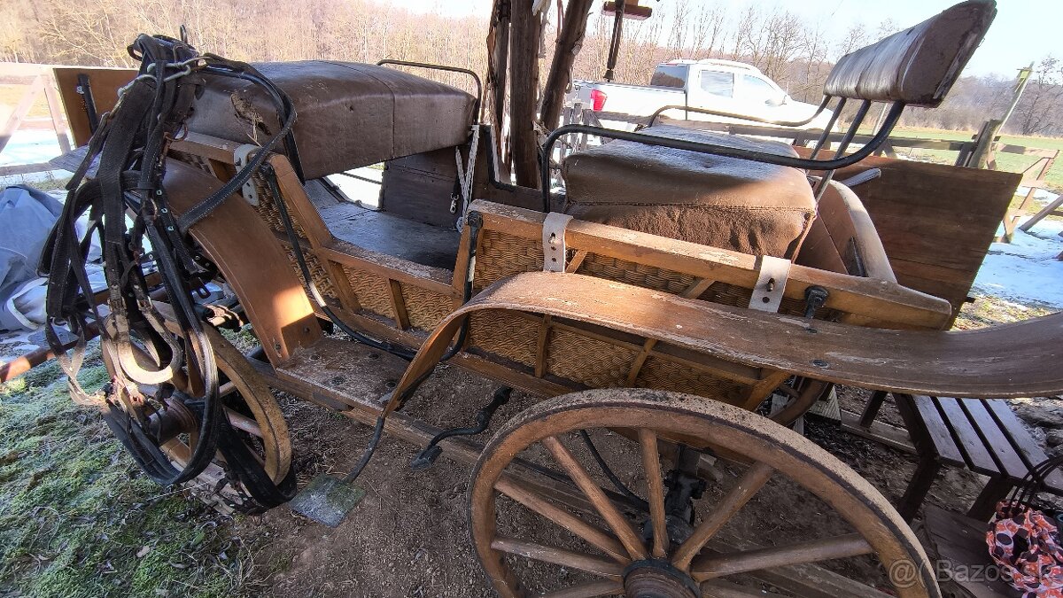 Predám koč - bričku - 4