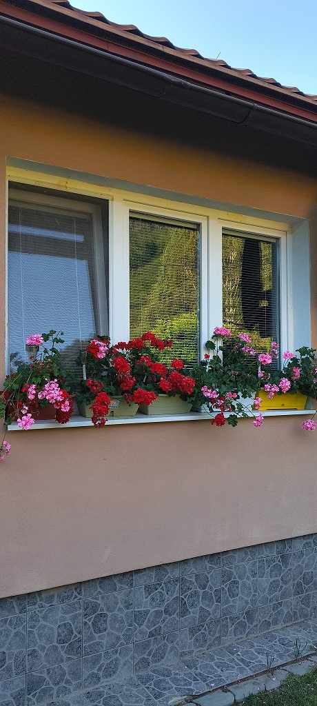 DOM NA PREDAJ 24 Km Z KOŠIC - 4