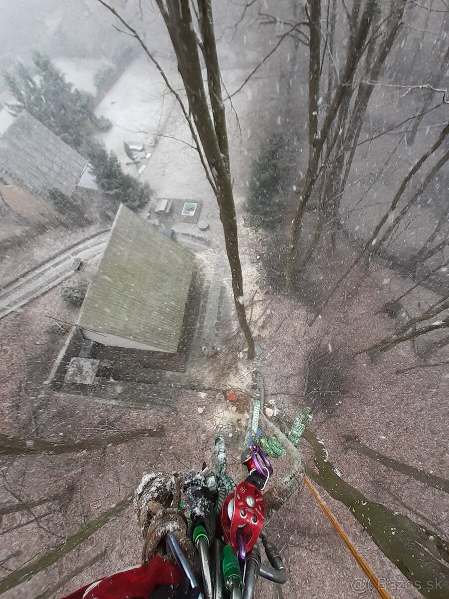 Arboristika, rizikové výruby a orezy stromov - 4