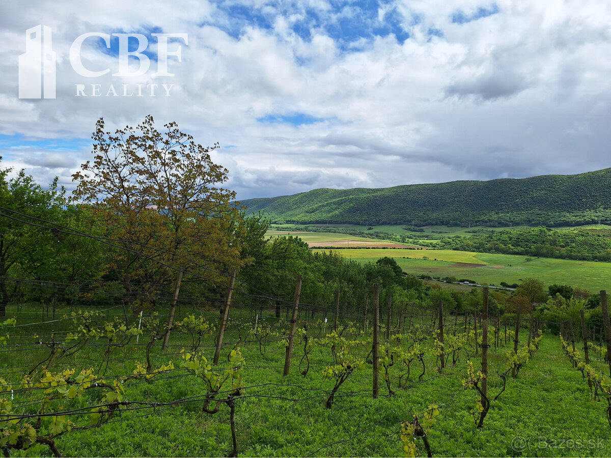 22.000 ZÁHRADKÁRSKA CHATKA S VINIČOM NA PREDAJ V HRHOVE - 4