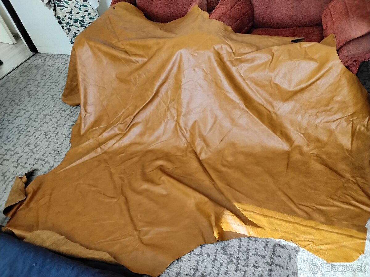 Čalunicka koža - 4