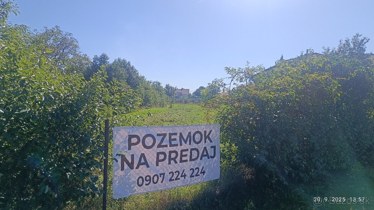 Pozemok v obci Albínov, Sečovce - 4