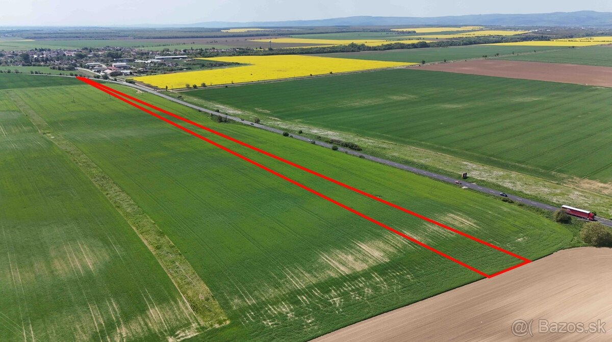 Blatné – 7.200 m2 ORNÁ PÔDA 1/1 s prístupom od cesty - 4
