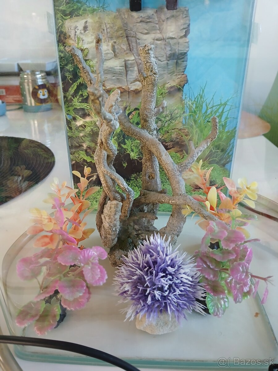 10l akvárium s vybavením - 4