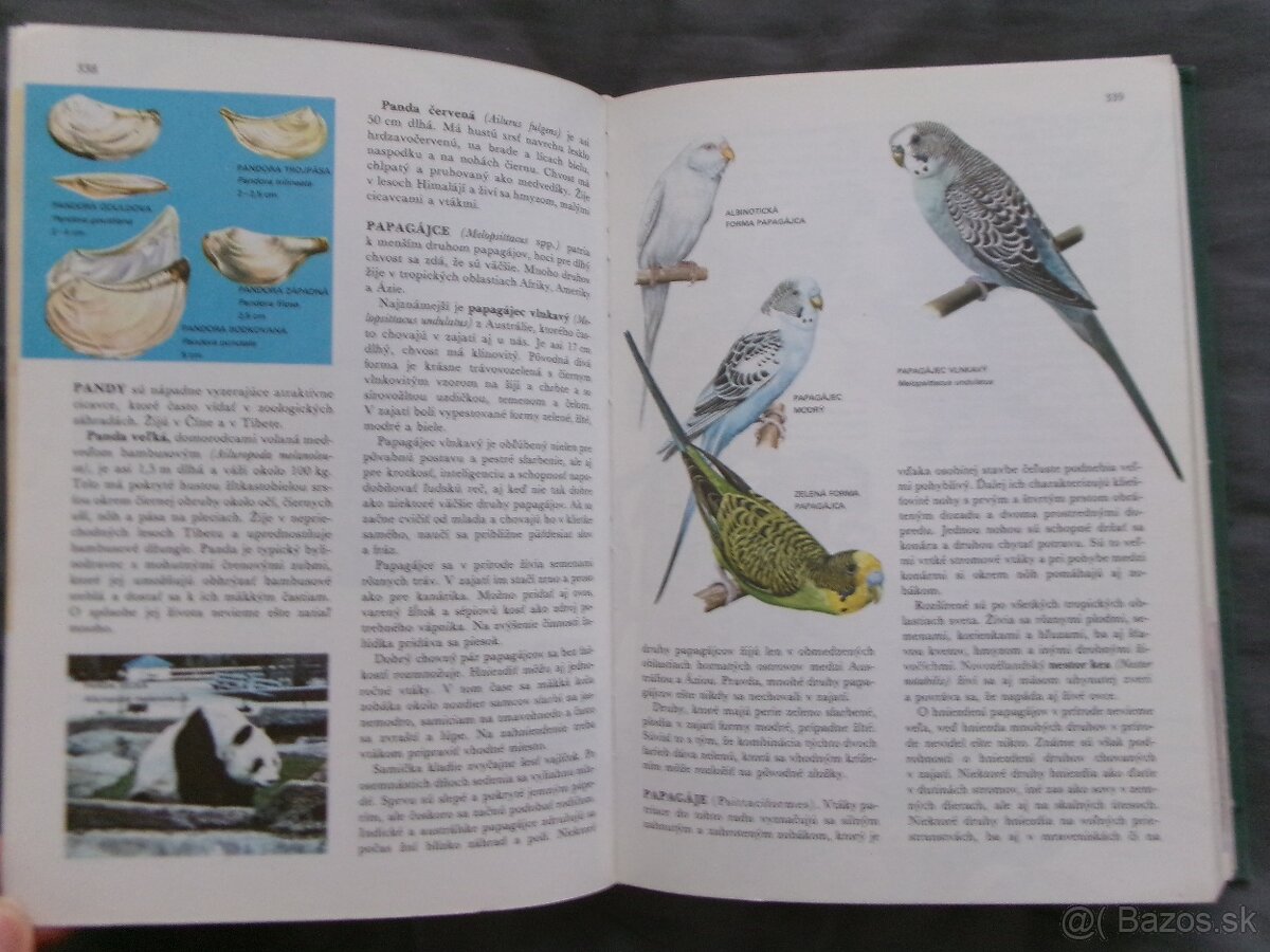 Svet živočišnej ríše. - 4