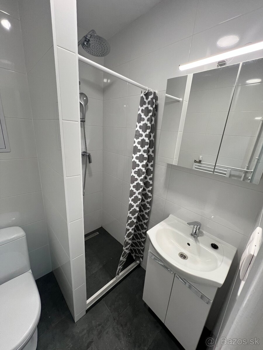 Prenajmem 1-Izbový byt na Lanskej - 4