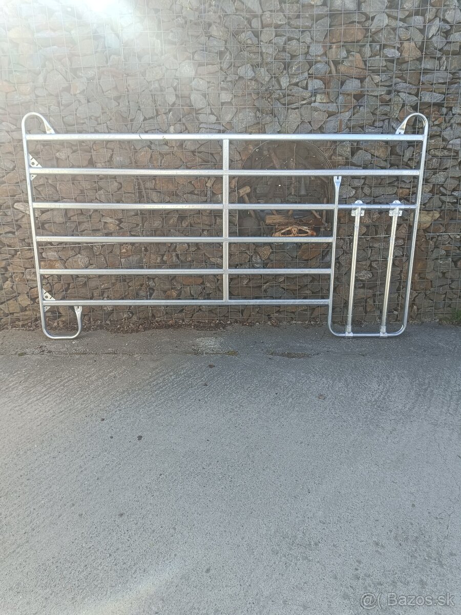 Texas panely - 4