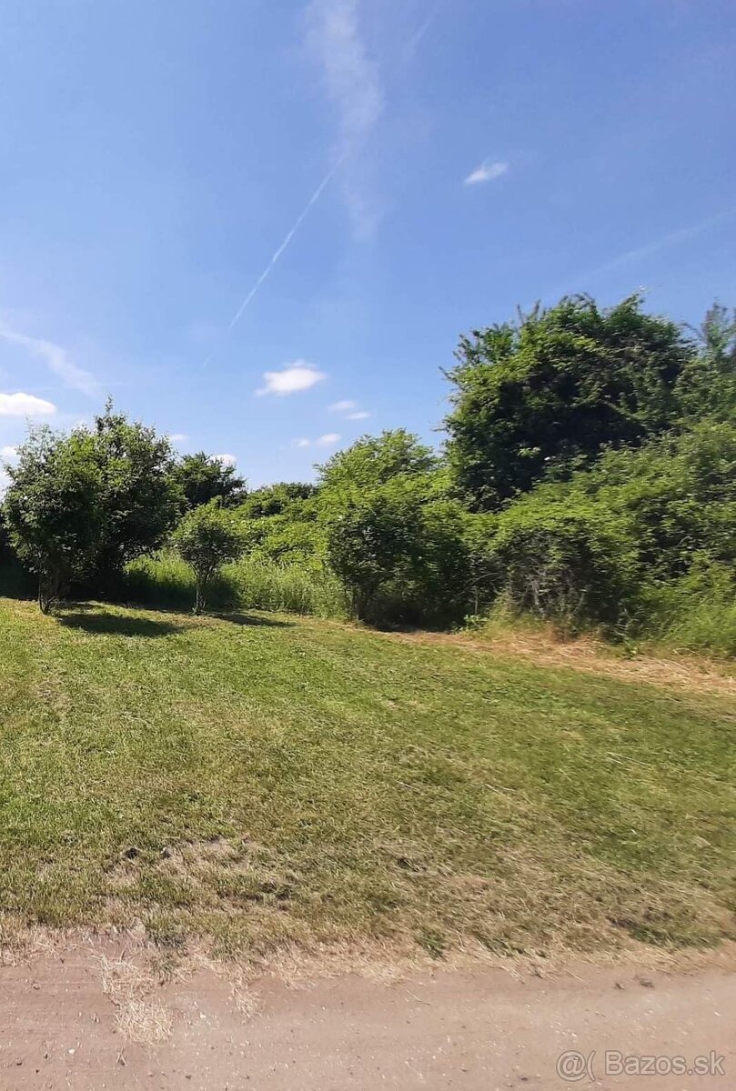Predaj pozemok v Leviciach, rekreačná lokalita - 4