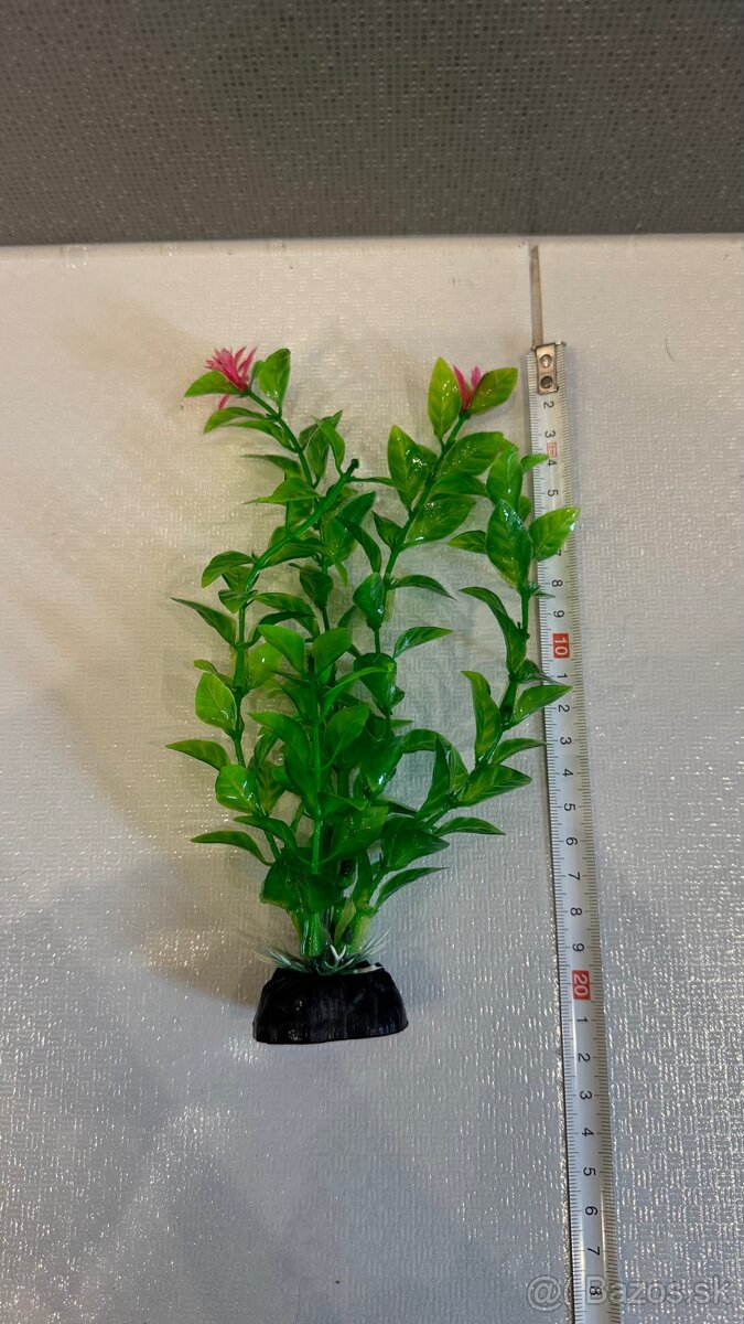 Rastlinky do akvária - 4