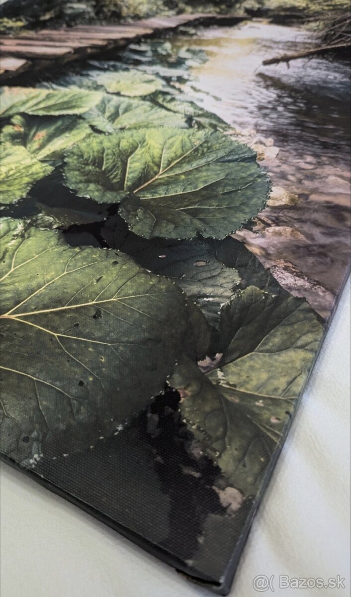 Fotoobraz zo Slovenského raja, oblasť Tomášovská Belá
- 4