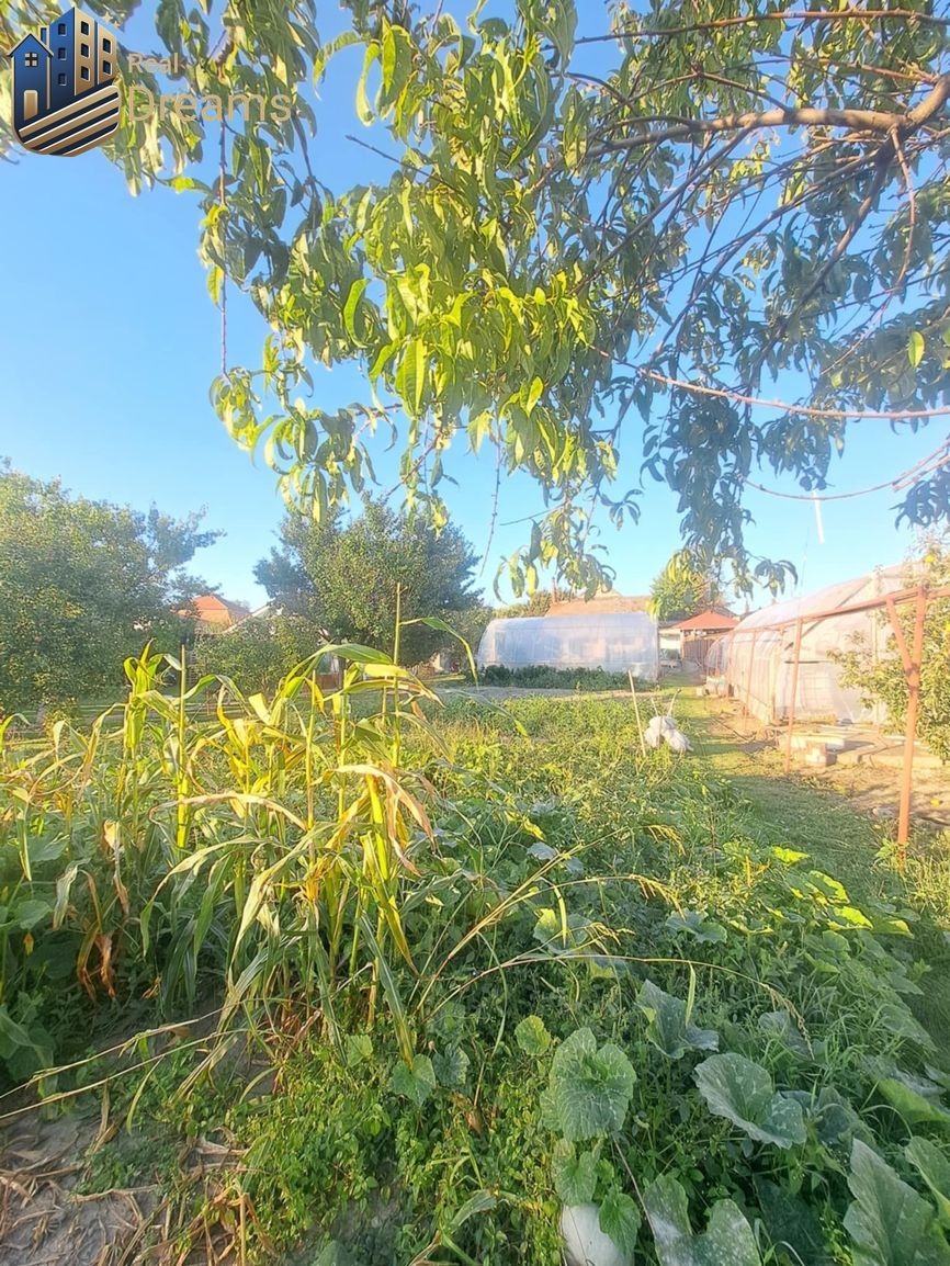 Rodinný dom s veľkým pozemkom v Kolárove – ideálny na bývani - 4
