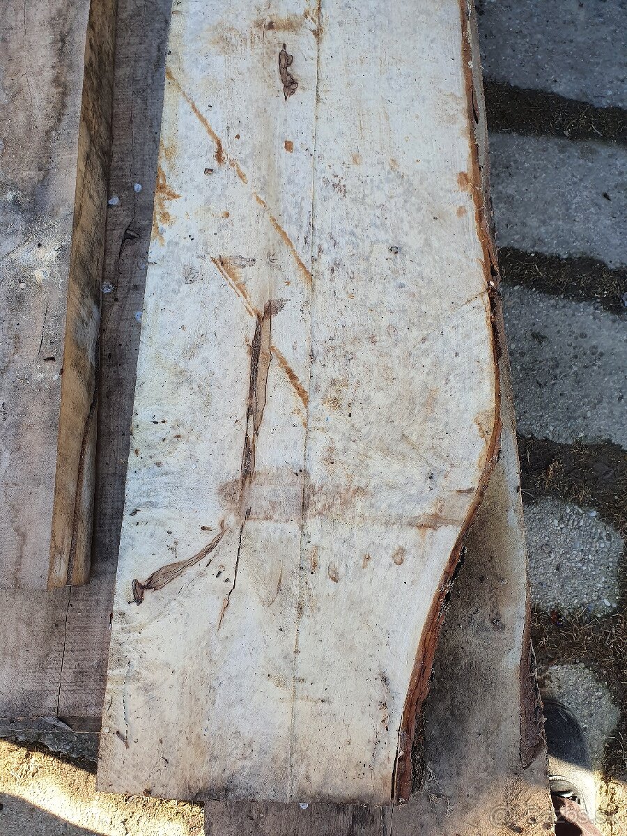 Stare rezivo - pagaštan fošne. - 4