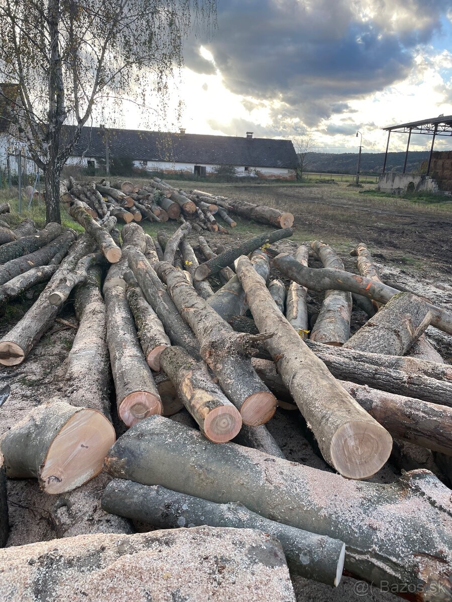 TVRDÉ PALIVOVÉ DREVO - 4