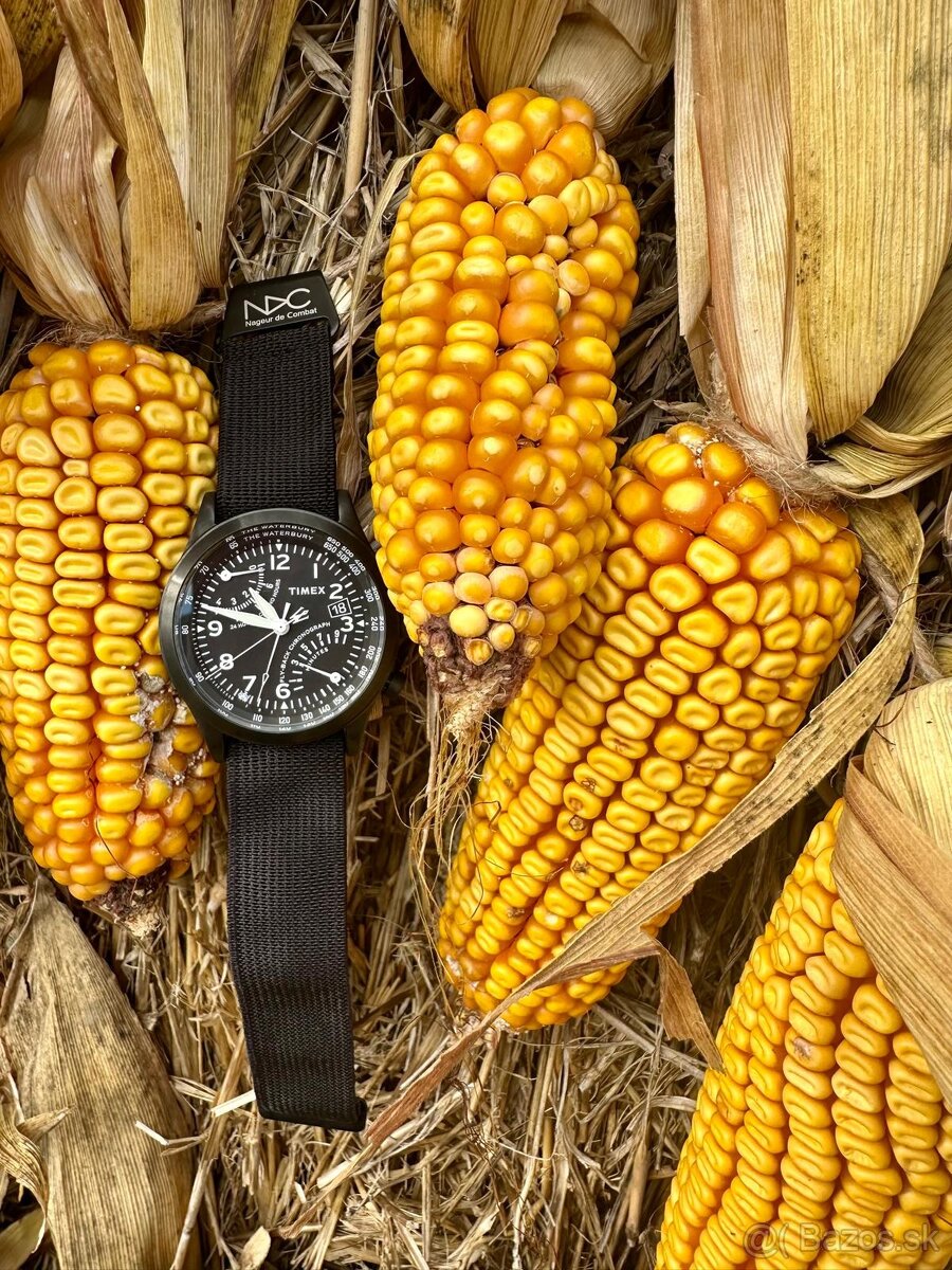 Timex Chrono - Waterbury Flyback Chrono full set + extras - 4