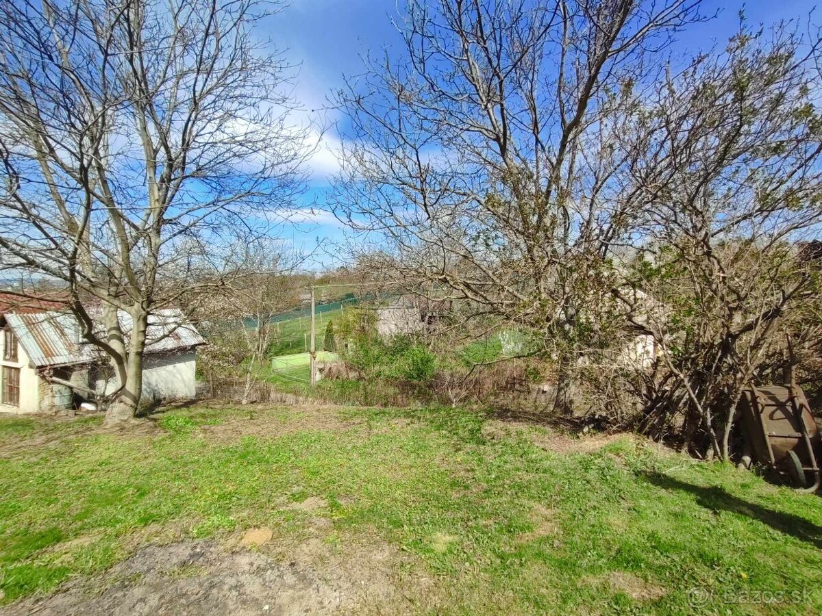 Na predaj viničný dom s 15a pozemkom, Staré predné Levice - 4