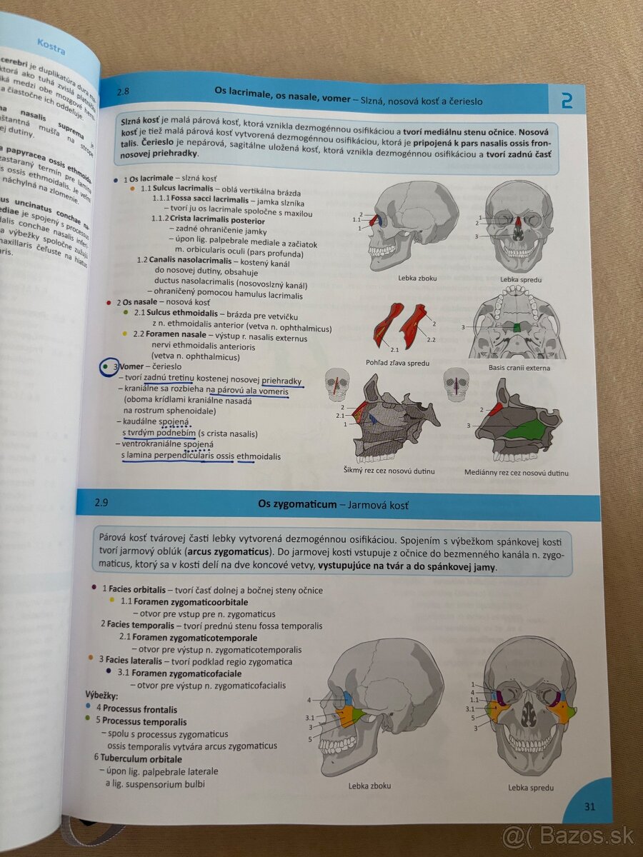 Memorix anatomie slovensky jazyk - 4