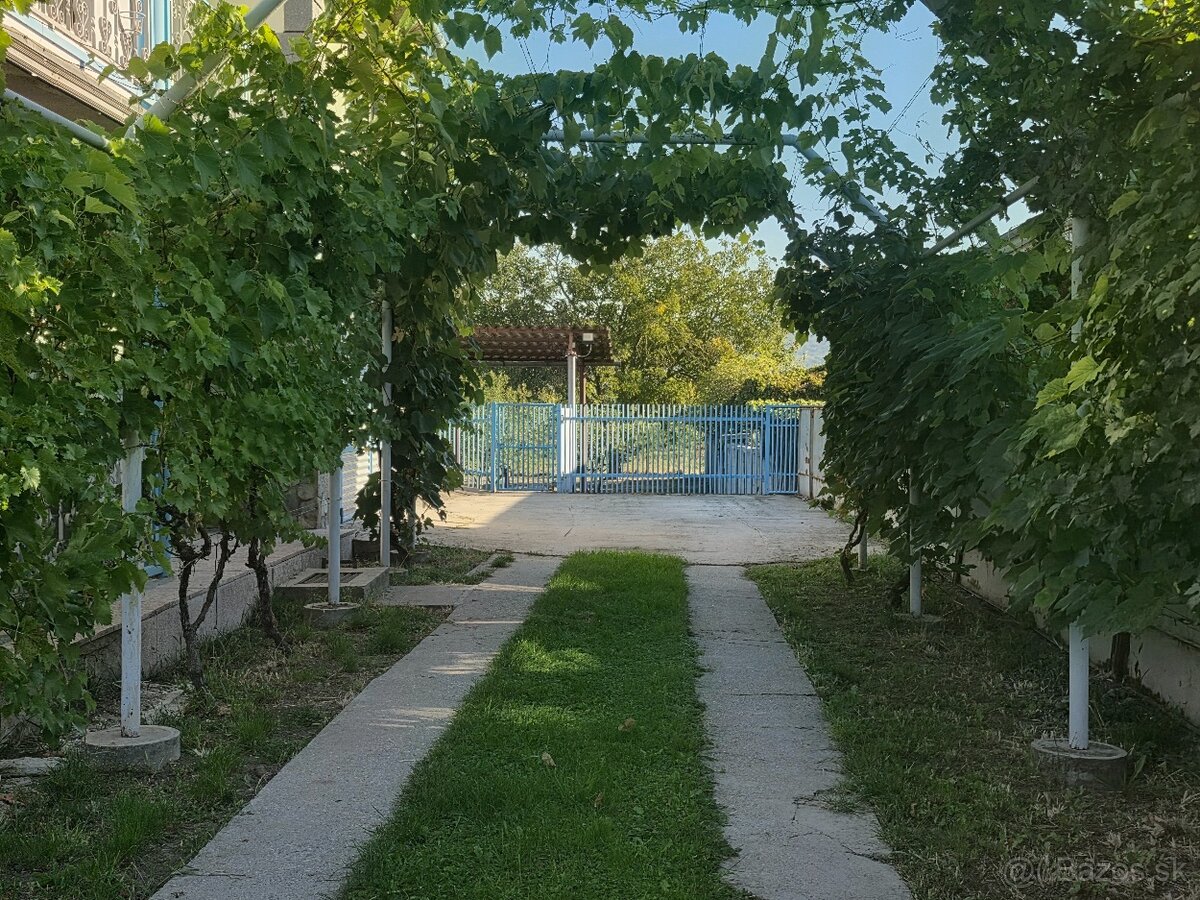 Fotografia 4