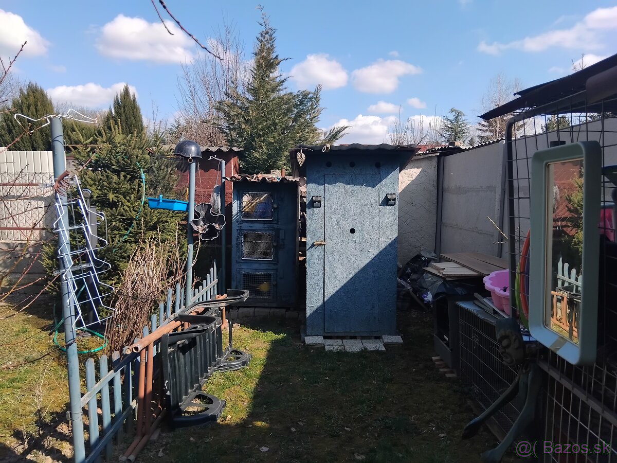 záhrada - 4
