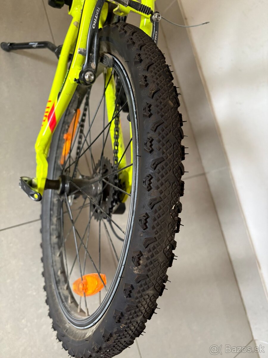 Kelly’s Lumi 30 - 4