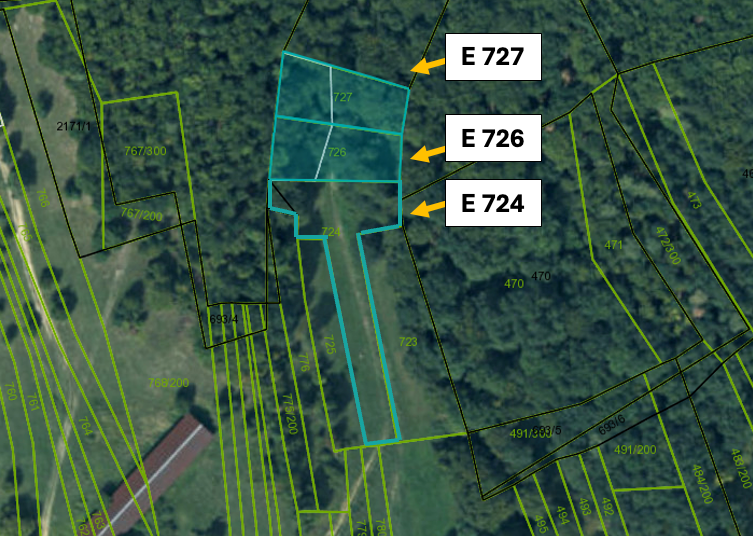 Omastiná – 9.909 m2 LESY a PASIENKY – PREDAJ - 4