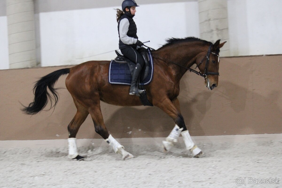 Charakterná kobyla - 4