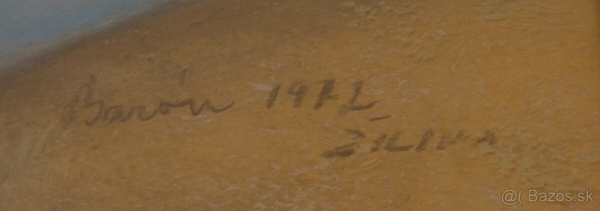 Zbierka obrazov Baron Karol - 4