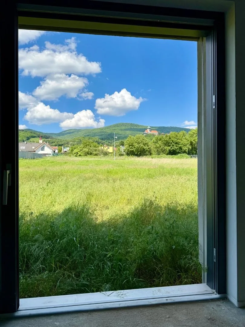 PREDAM NOVOSTAVBU V SMOLENICIACH - 4