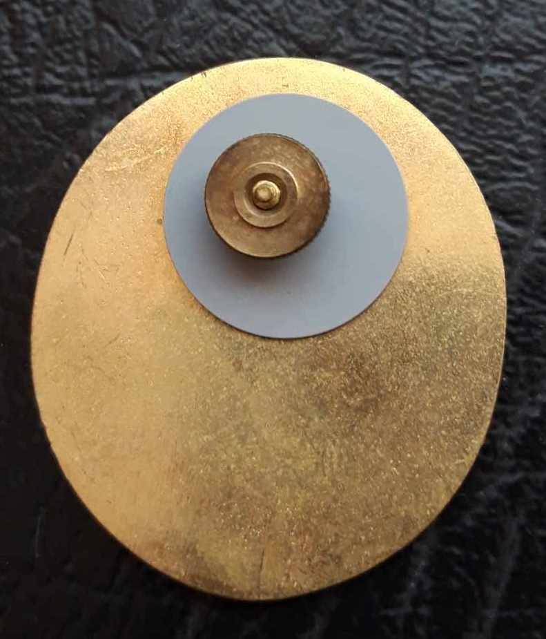 Odznaky stražna služba,mestska polícia,SBS...ceny na foto... - 4