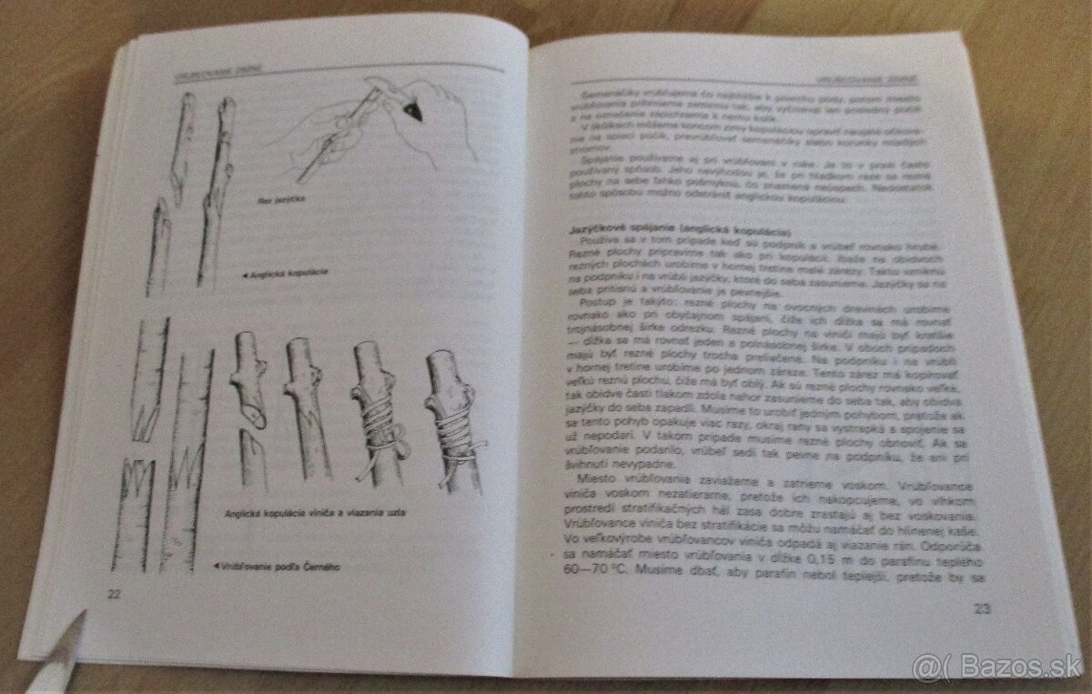 Vrúbľovanie, očkovanie, rozmnožovanie - 4