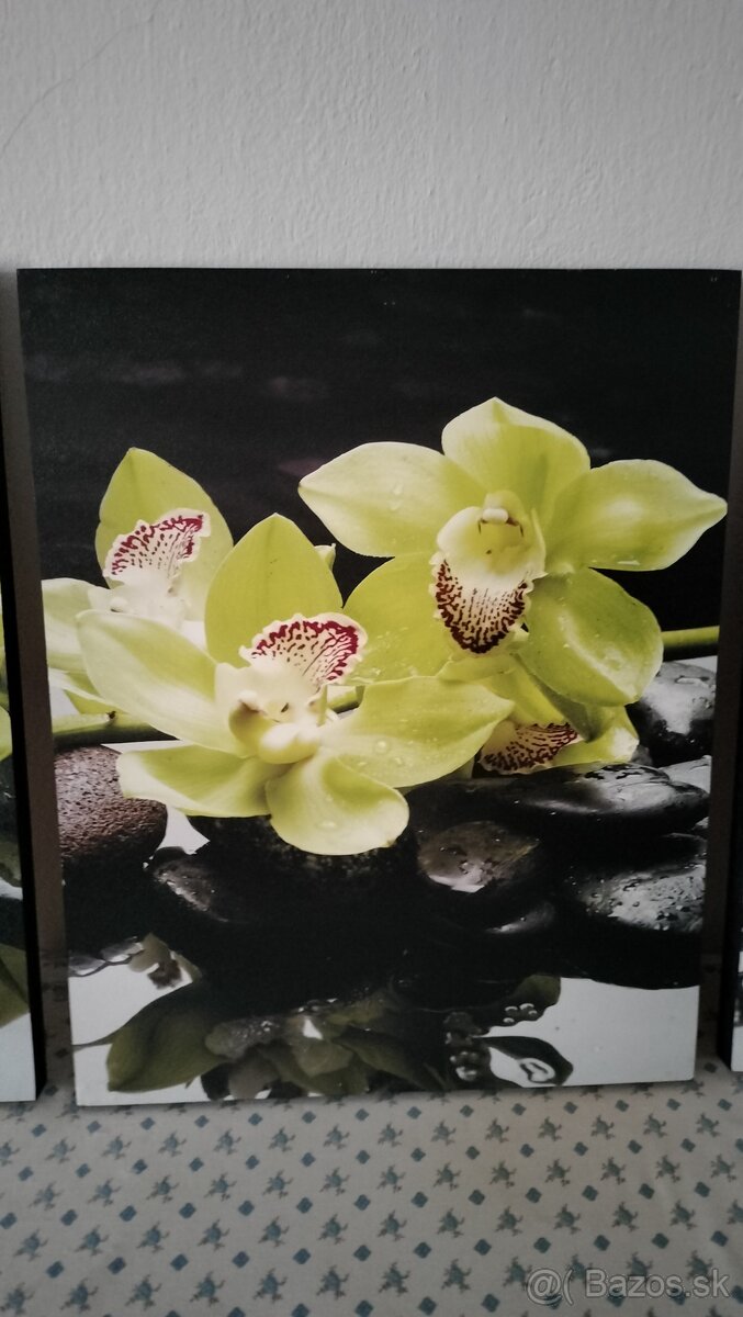 Predám 3 obraz s motívom orchidea - 4