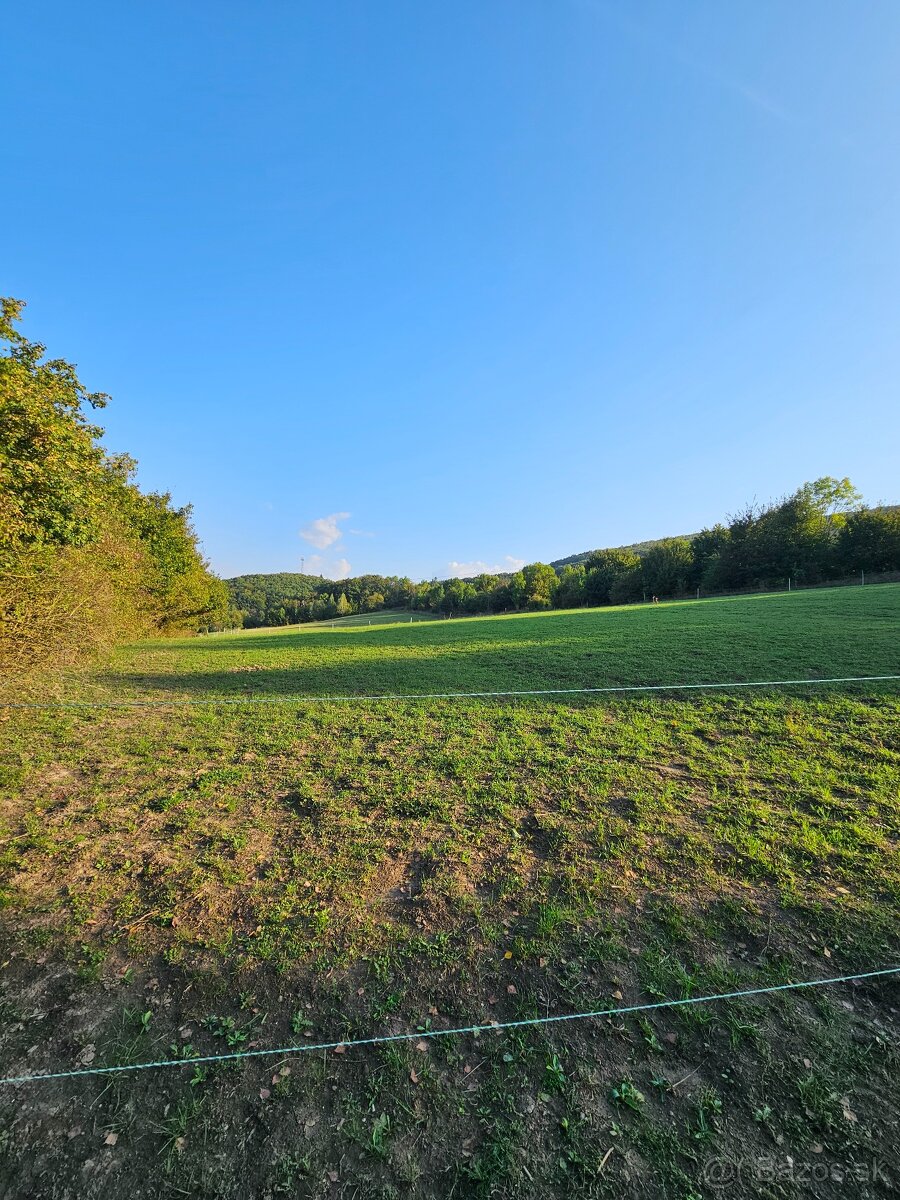 ustajnenie koni, vychadzky vodenie pre deti - 4