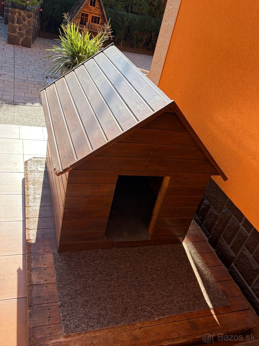 Búda pre psa - 4