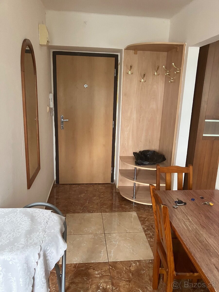 1 izbovy byt - 4