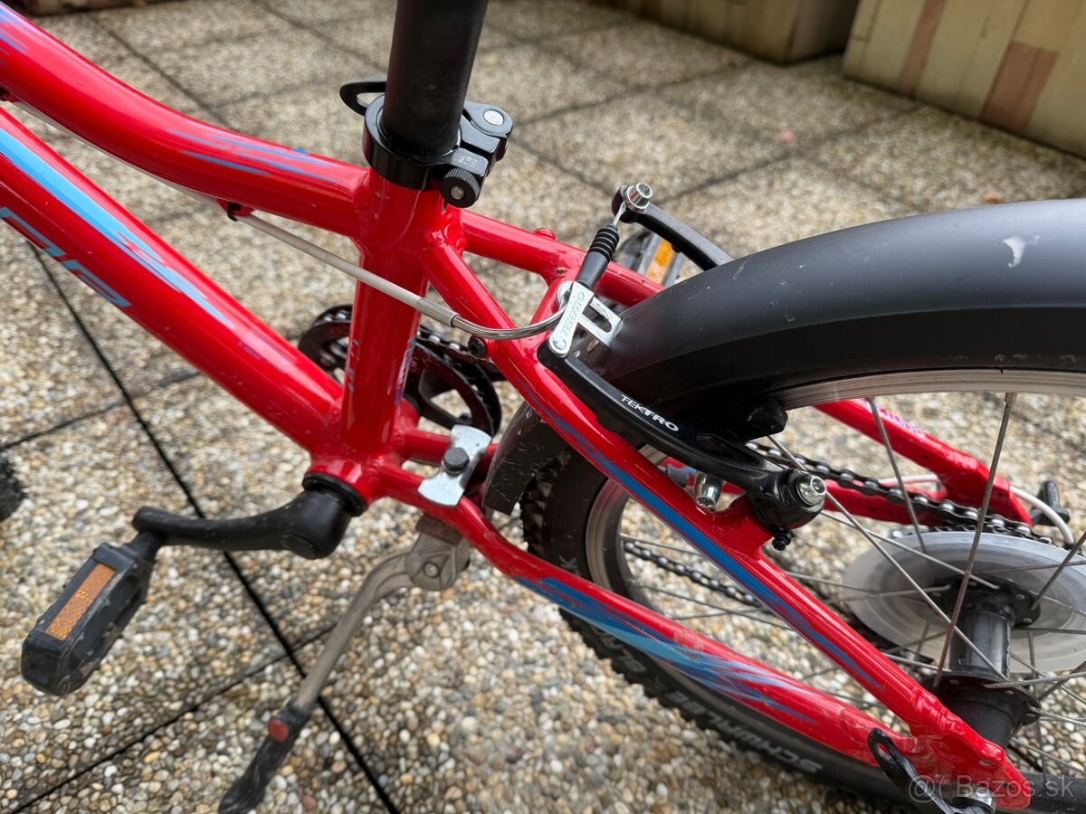 Detský bike Superior Paint XC 20" - 4