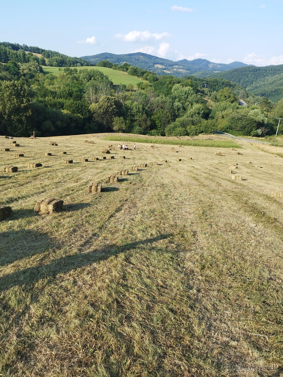 Predám malé balíky sena - 4