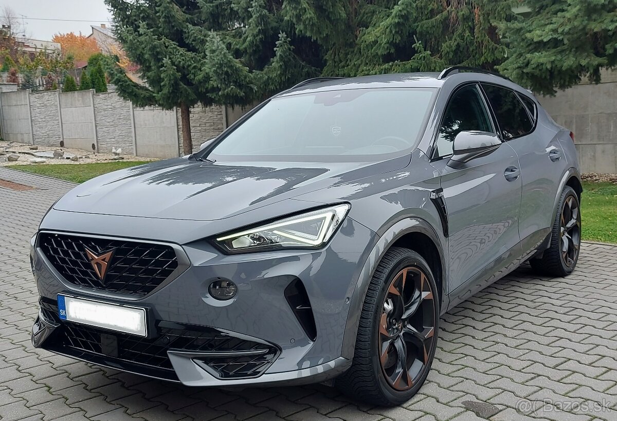 CUPRA FORMENTOR VZ310 - 4