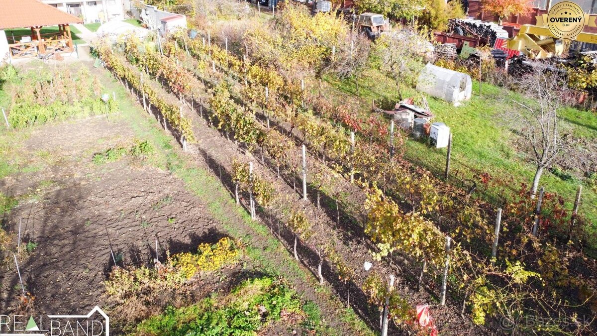 PREDAJ - RODINNÝ DOM S GARÁŽOU AJ VINOHRADOM 771 m² - 4