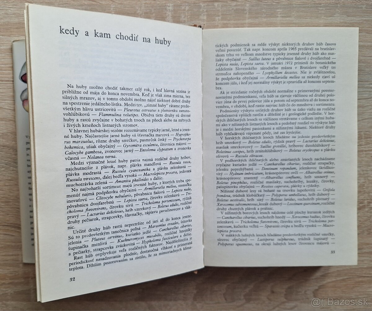 Huby lesov, poli a luk - 4